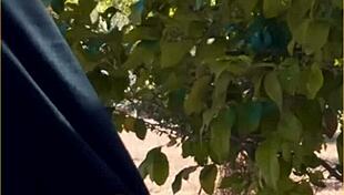 Hot Wife Delivers Amazing Public Blowjob Outdoors