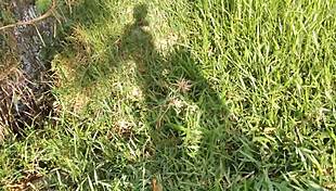 I Saw Hot Guys In Public Colombian Outdoor Spot