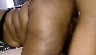 Nigarchrist Update 1496 Petal June 22 2025