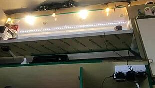 Sexy Milf With Long Legs And Big Pussy Lips Serves Guests In Mini Skirt Despite Winter Cold?