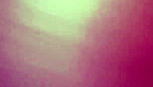 celebrating the joyful start of the new year 2020