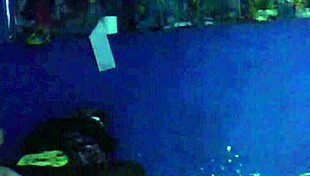 después de la fiesta me escapé de casa para irme a follar al vecino con besos y lamidas.