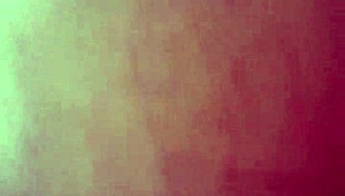 celebrating the joyful start of the new year 2020