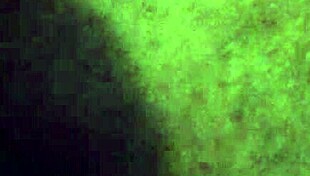 I captured this video on September 25, 2015