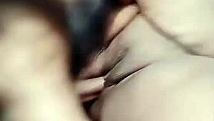 निगारक्रिस्ट अपडेट 1440 पेटल