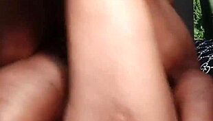 nigarchrist update 1537 petal 20250629 154845 jun 29 2025