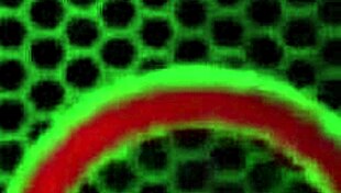 Busty Blonde Maggie Green Feels Intense Pleasure Fingering By The Window