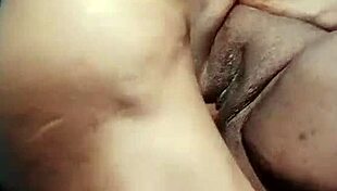 निगारक्रिस्ट अपडेट 1440 पेटल