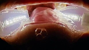 deranged filth loving girl rebel rhyder gets frozen cum bukkake - filmed with probe lens