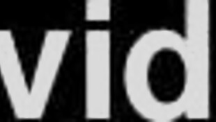 Dr Tampa - The New Immigration Policy - Kristen Martinez