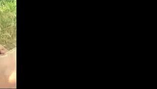 Happy And Hans Enjoy Blowjob Kisses Caresses In The Field