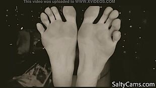 a toes lover craves licking, what's your asl for fetish fun?