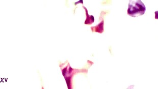 mary jane takes on three big black cocks in deep anal and creampie action