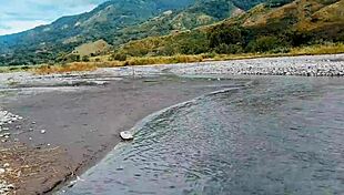 Latina wife risks passionate blowjob outdoors in nature with natural tits exposed