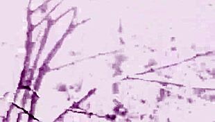 Aprilbigass - Chat Content 86 - Fikfap 4k 60fr - Apr 24 2025!