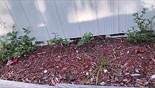 i hot step mom makes you get a j b - brianna beach - momcomesfirst - alex adams