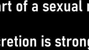 Dr Tampa - Selena Perezs Immigration Physical