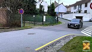 Luna sublime rouqine ne jure que par du sexe hard!