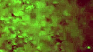 indian sexy wife in sari has hot sex with sadhu baba