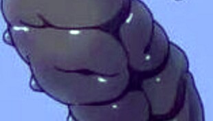 Girls Gone Wild In Office Hardcore Lesbian Sex