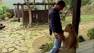 Julie Meadows' Busty Form Endures Tight Anal