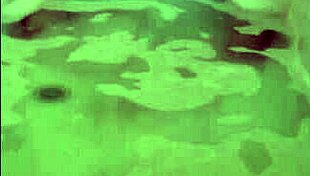 she's in the bath, getting all horny and reaching that solo orgasm.