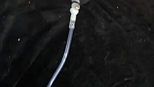 pumping fun with chubby curves