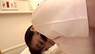 345simm-241 full version!