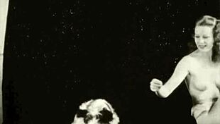 Dark lantern entertainment presents beauty and the beast