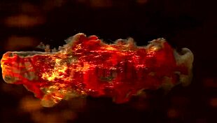 Cute Anastasia Markova takes a hard anal pounding in this quickie session