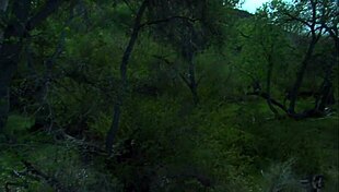 Taylor Rain Enjoys Raw Sex