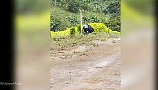 मैंने रैंच पर युवा 18+ कोलंबियन फार्म गर्ल को मेरे लंड को मिल्क करने के लिए पैसे दिए