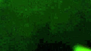 स्किनी चूत को BBC ने डॉगी में फाड़ डाला, कितनी टाइट गैपिंग हो गई