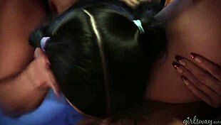 Wild Lesbian Box Training Dillion Harper And Romi Rain