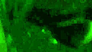 I trained and punished lesbian slaves with whip