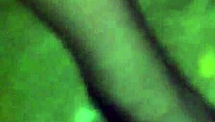 In The Wood Only With G-String And Fishnet Stockings