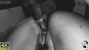 chayenhy & pele vip - married gave her ass to the builder on the work