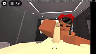 A simple verification video