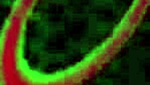 busty hottie milf alura jenson sucks rome major's bbc and gets banged hard in interracial group scene with deepthroat and riding