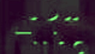 Cam Girl Dances With Bigger Boobs