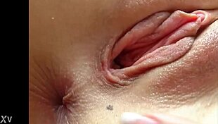 Euro solo pussy and ass soft masturbation model beauty sexy tall bitch stocking bambi t2?