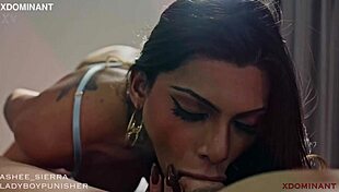 big cock ladyboy undergoes anal creampie casting and slave training