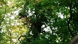 oh, the female slave is the slut in the forest. getting humiliated by the master