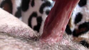 i'm watchin' this big clit orgasm up close