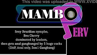 sexy brazilian nympho bea cherry dominated by lezdom drinks pee then gets anal gangbanged by 5 huge cocks dap anal only pissing 5on1 gangbang lezdom foot worship ob478