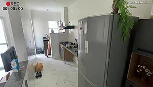 Hidden camera captures employee in provocative shorts teasing and engaging in voyeuristic acts