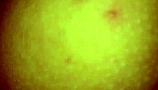 Rough Fucking By My Bull While My Cuckold Waits Outside, Then He Creampies Me Too