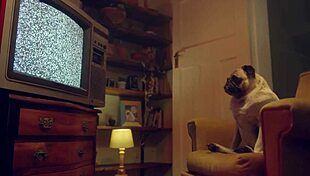 Benefit monkey spanish babe katrina moreno with her big tits brings katy rose to orgasm 😍