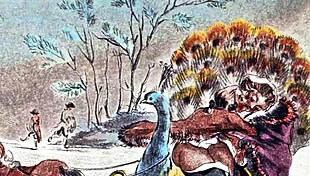 Vintage Erotic Art Collection