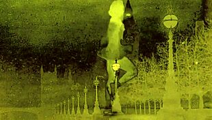 Vintage Erotic Art Collection